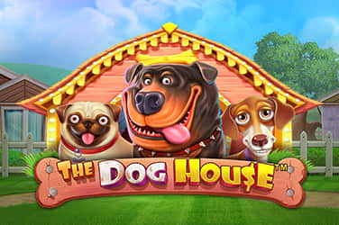 The dog house megaways slot review